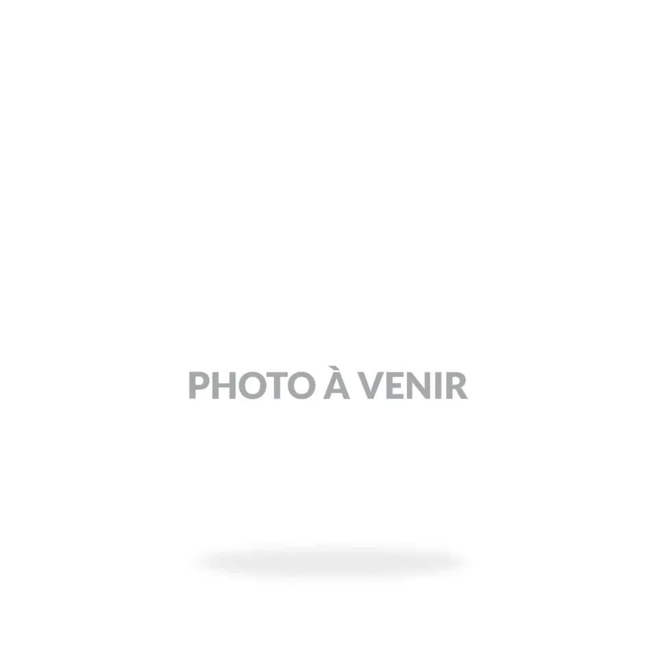 Intermiel Mélipoire liquore miele pera 750ml 32,5%