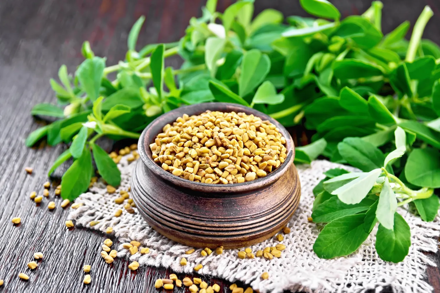 Natural Food Polline d'Api polline 10 kg crudo
