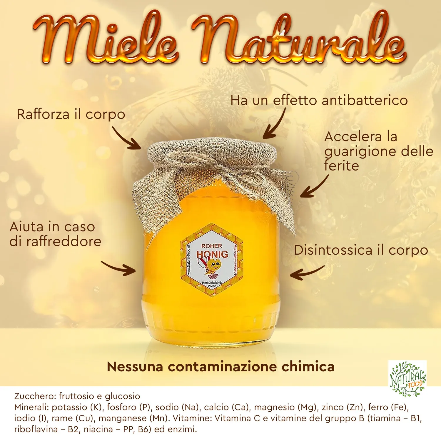 Natural Food miele millefiori grezzo 10x1,1kg